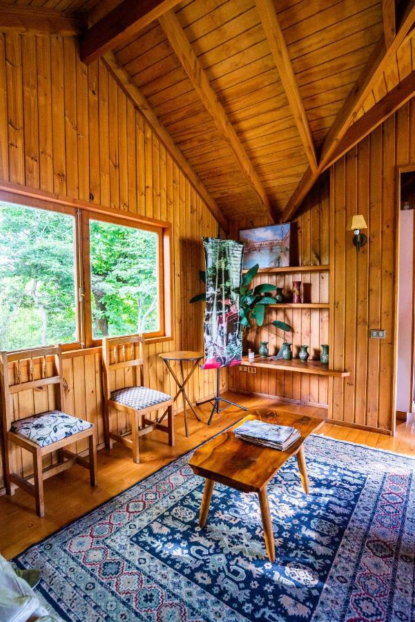 Hosteria Tricahue Pucón Екстериор снимка